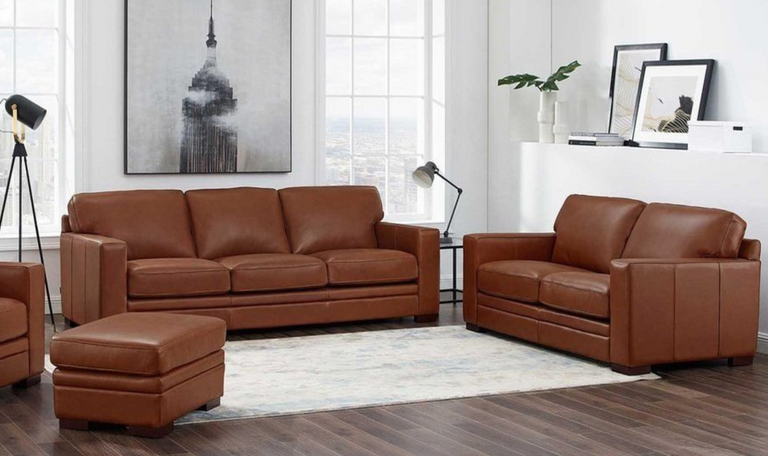 Dillon Leather Living Room Set