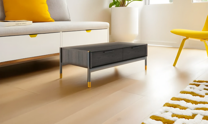 Jennifer Italia Diapo 2 Drawer Coffee Table in Wenge-Jennifer Furniture