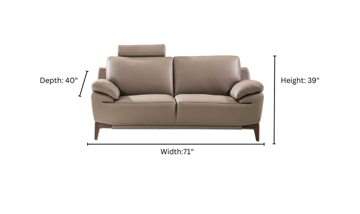 Galina Leather Upholstered Loveseat with Adjustable Headrests