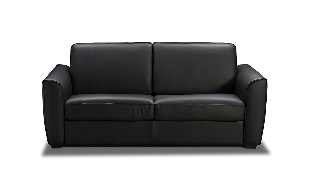 Jennifer Italia Elora 2-Seater Black Leather Sleeper Sofa with Memory Foam Mattress