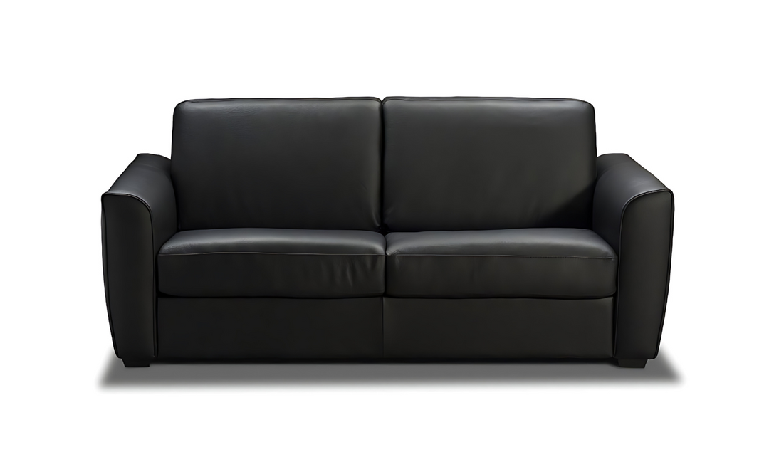 Jennifer Italia Elora 2-Seater Black Leather Sleeper Sofa with Memory Foam Mattress