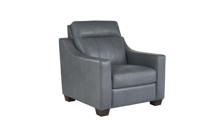 Universal Furniture Higgins Dual Power Motion Recliner Chair