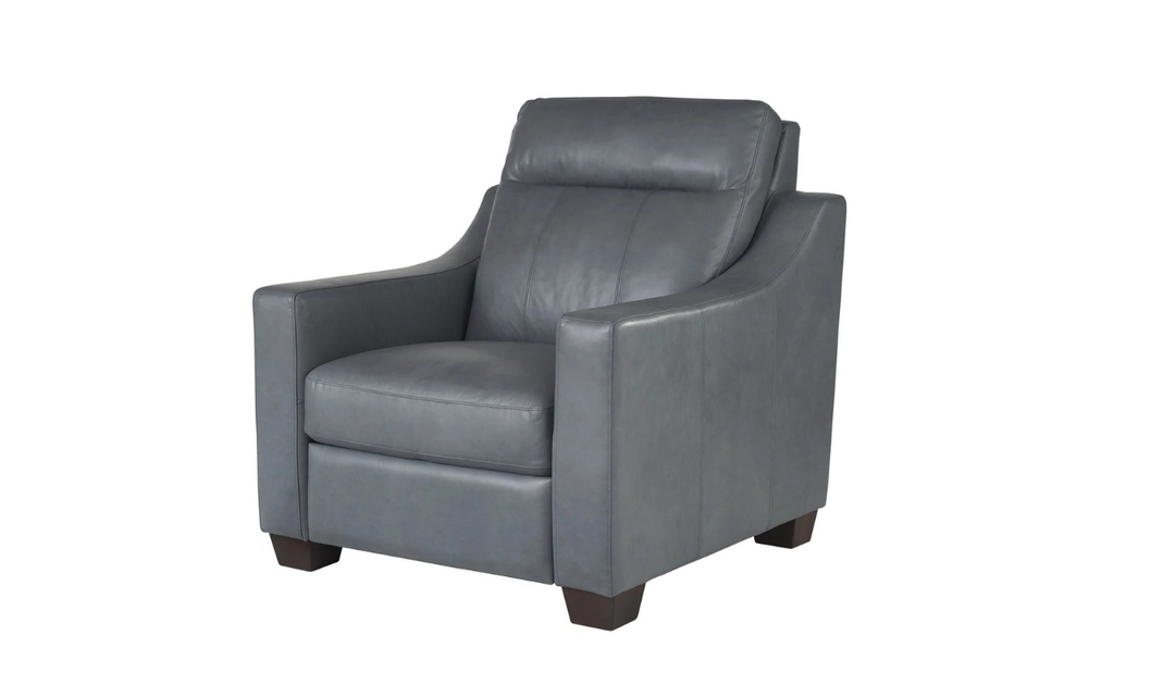 Universal Furniture Higgins Dual Power Motion Recliner Chair