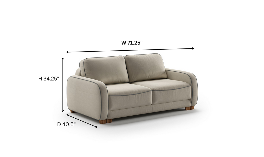 Luonto Leon 2-Seater Fabric Queen Loveseat Sleeper Sofa